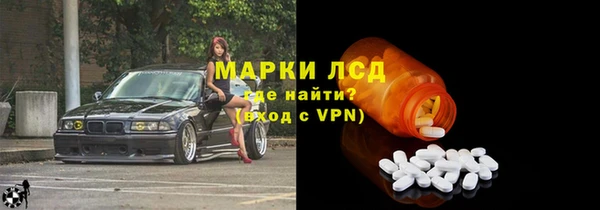 хмурый Абаза