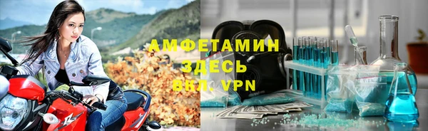 хмурый Абаза